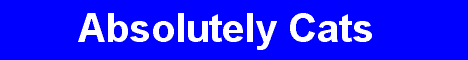 AbsolutelyCats.gif (1381 Byte)