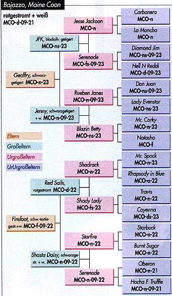 BajazzoStamm.jpg (84642 Byte)