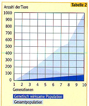 Hintergrund.jpg (46540 Byte)