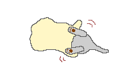 catt�te.gif (11334 Byte)