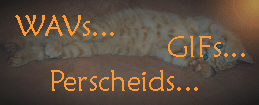 ringelkater.gif (68894 Byte)